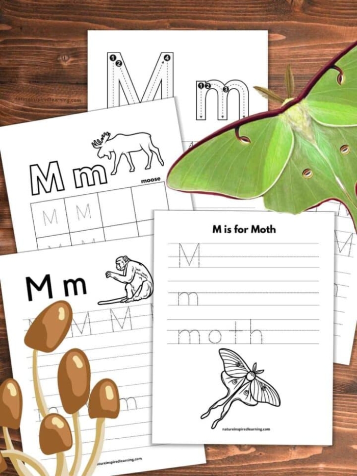 Engaging Letter M worksheet for preschool and early elementary students Worksheet for identifying words beginning with the letter M in a fun activity for young learners