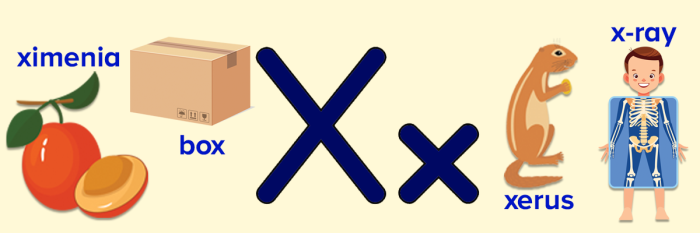 Pre-K worksheet featuring various objects for children to identify that begin with the letter K