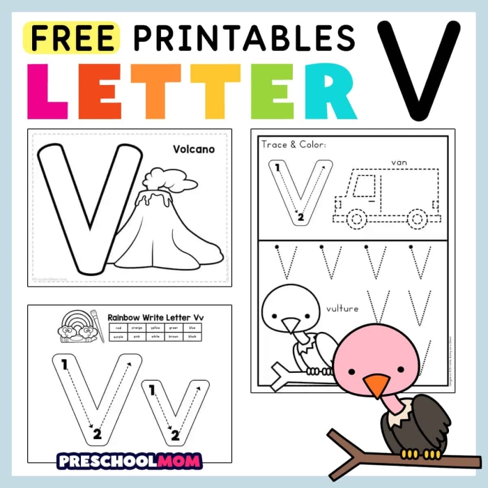 Worksheet for identifying words that begin with the letter V for young learners
