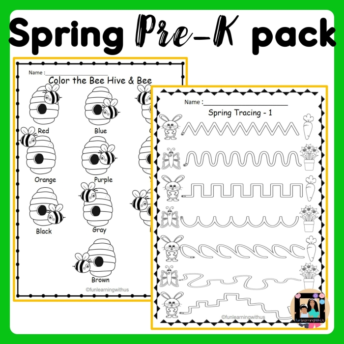 Worksheet featuring words that begin with the letter K for young learners
