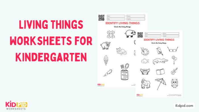 Fun Living Things Worksheet for Early Education - Image 7 Coloring worksheet for identifying living things aimed at Pre-K learners