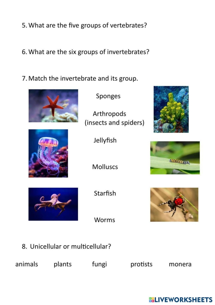 Engaging Living Things worksheet for young learners, image 14 Coloring worksheet for pre-K students to identify living things