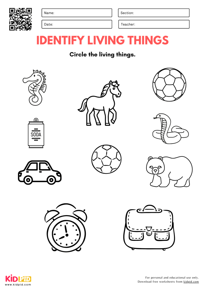 Mixed Operations worksheet for Pre-K Coloring worksheet for identifying living things, designed for Pre-K students. Engaging Living Things worksheet for young learners to explore and color.