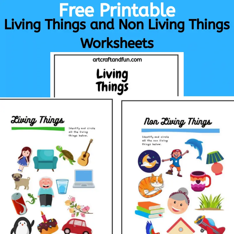 Living Things Worksheet for Young Learners - Image 20 Colorful worksheet for Pre-K students identifying living things