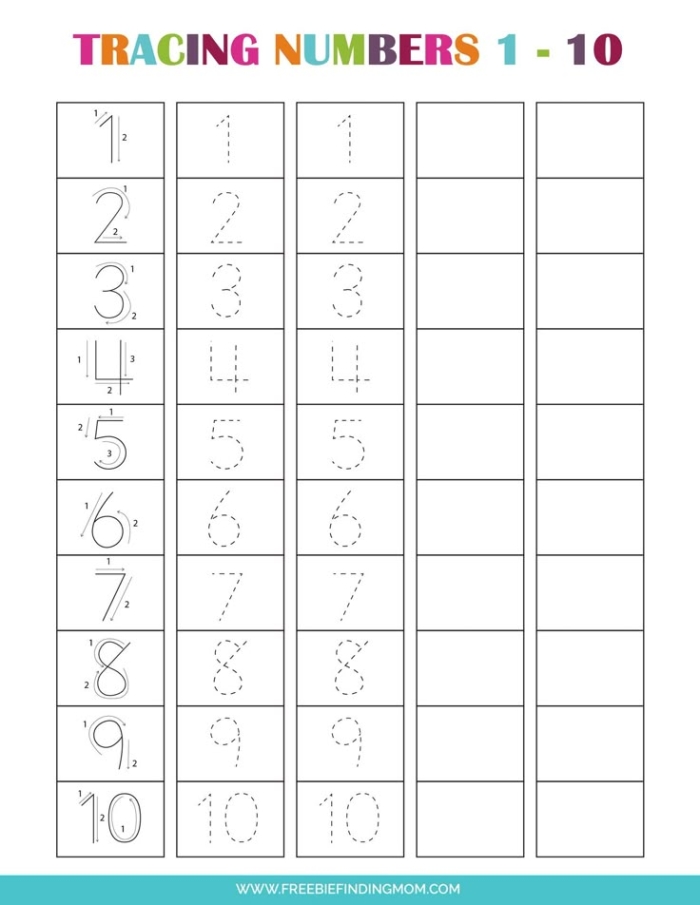 Worksheet for teaching the number 6 to Pre-K children in life science