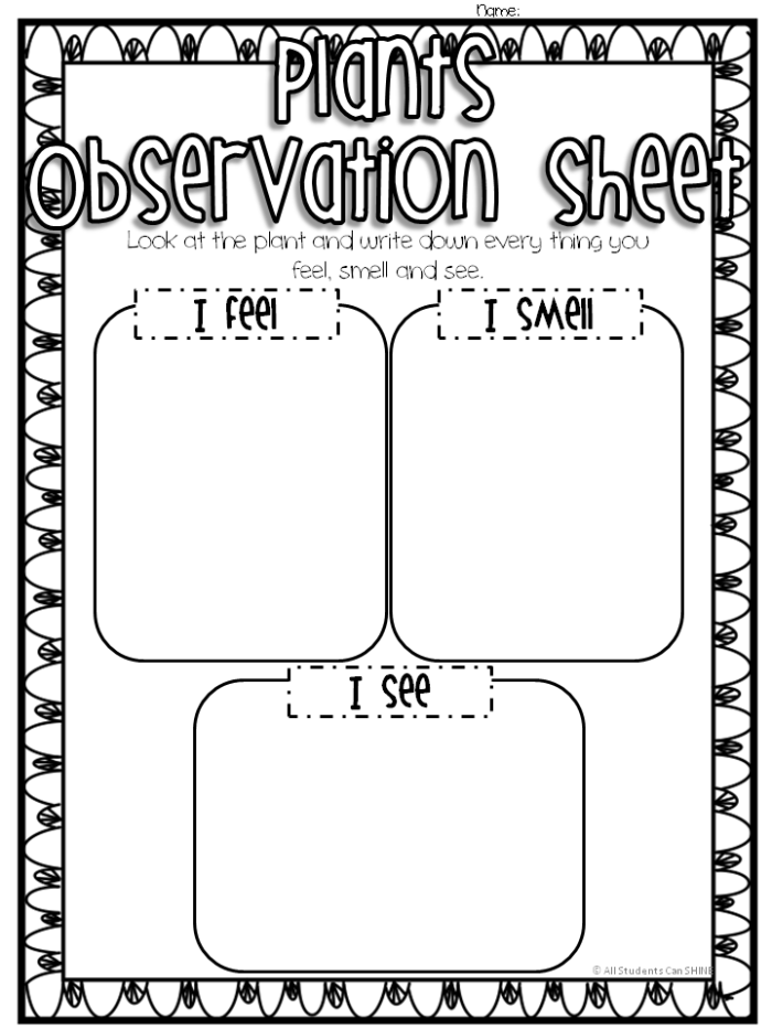 Pre-K worksheet with counting and coloring activities to develop observation skills