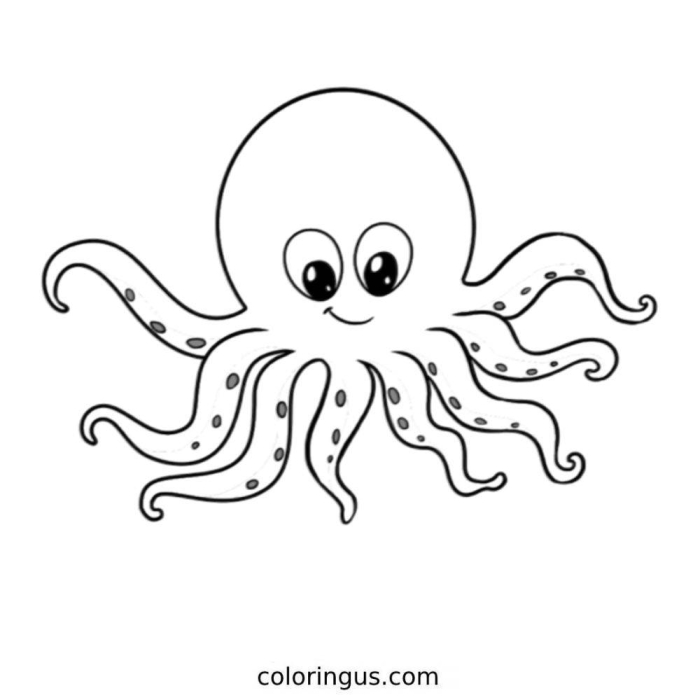 Cute octopus coloring page worksheet for preschoolers to enjoy