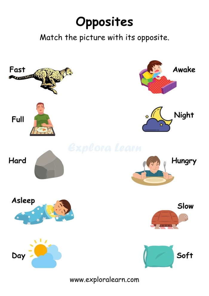 Pre-K worksheet activity featuring various image pairs to help children learn about opposites 11