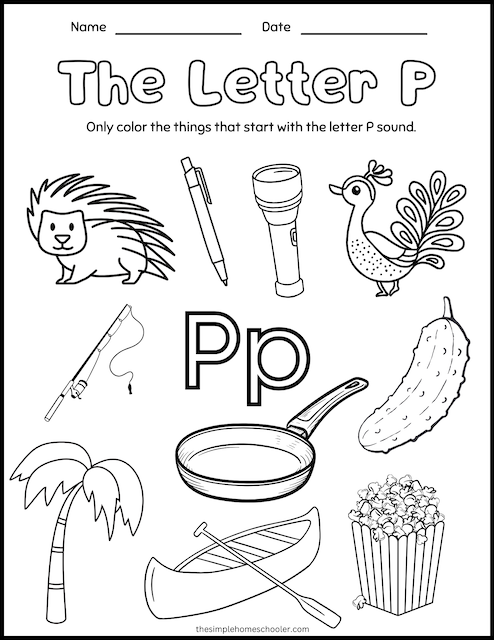 Pre-K phonics worksheet featuring various pictures that begin with the letter P