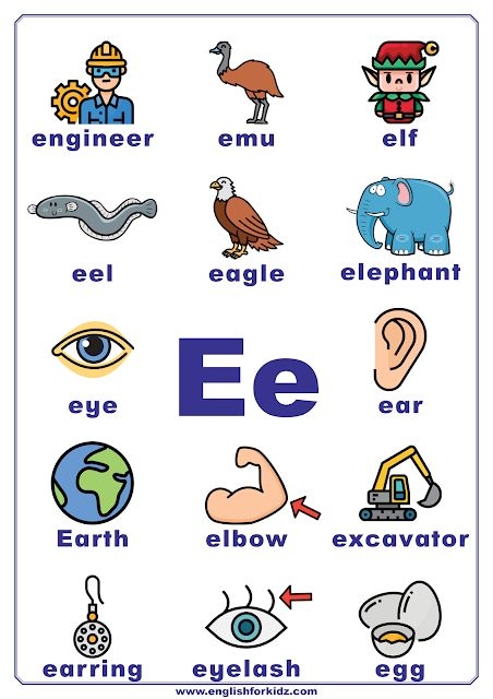Worksheet for identifying items that begin with the letter E for phonics practice. Educational activity to enhance alphabet skills for Pre-K learners.