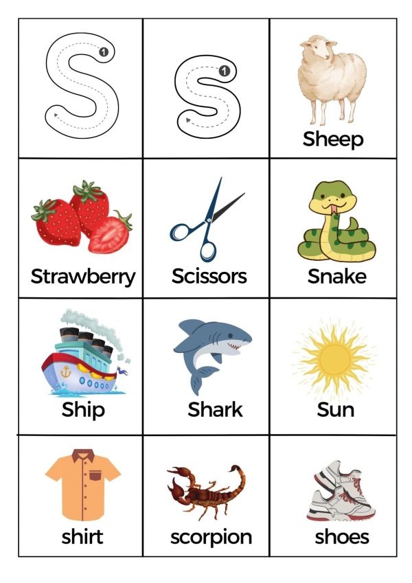 Pre-K phonics worksheet featuring various objects starting with the letter O for letter recognition practice