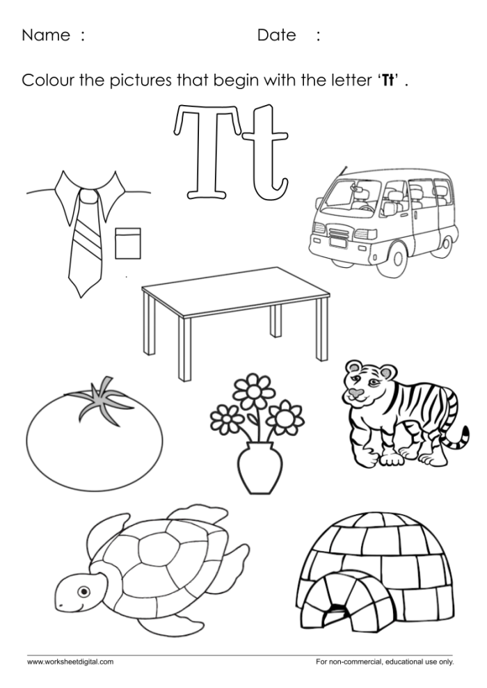 Worksheet featuring items that begin with the letter T to aid phonics learning