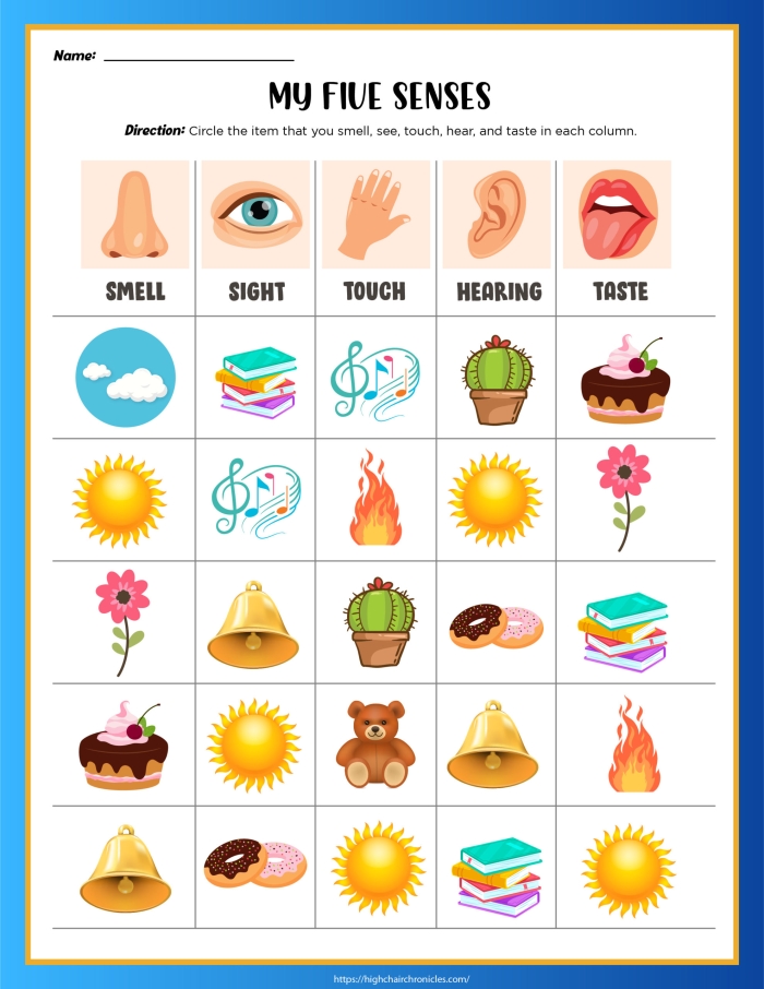 Cute illustration for a Pre-K worksheet on senses and emotions, featuring engaging visuals. Senses and Feelings worksheet image for kindergarten quiz activities.