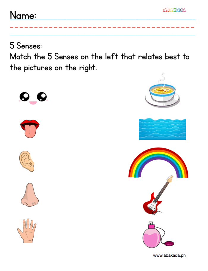 Worksheet for matching senses with corresponding images in My Five Senses Match-Up 1