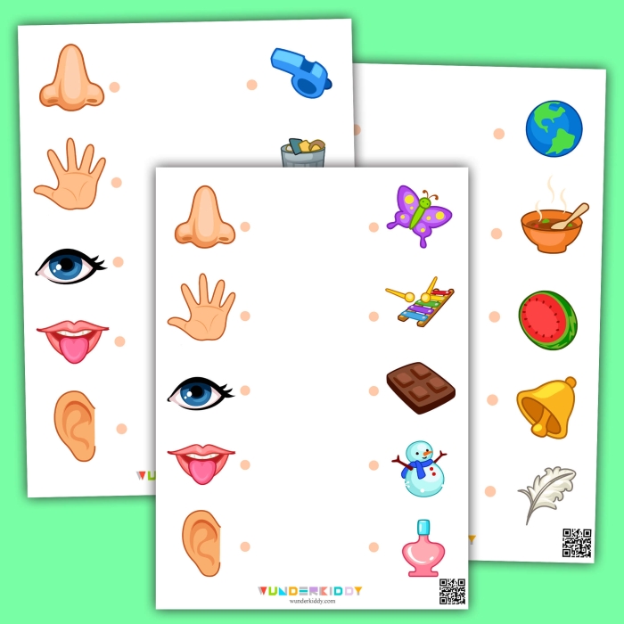 Cute educational worksheet for matching senses to pictures for Pre-K students