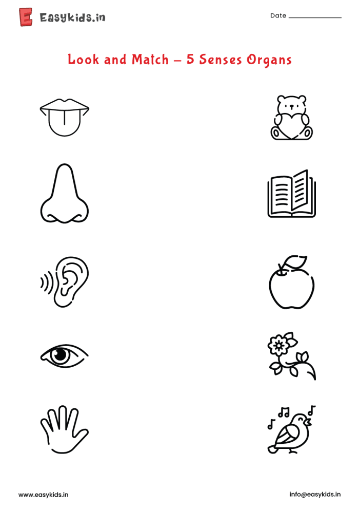 Pre-K My Five Senses Match-Up 1 worksheet featuring sensory icons to match with objects