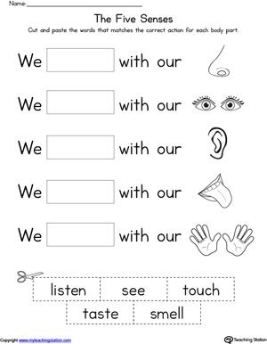 Pre-K worksheet with images of eyes, ears, nose, mouth, and hands for sensory matching practice