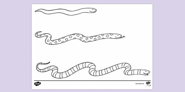 Coloring worksheet featuring sneaky snakes with hidden patterns for kids to explore. Fun Snake Coloring Patterns activity designed for Pre-K learners.