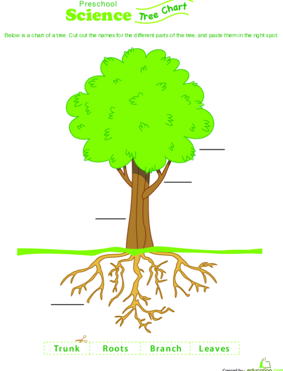 Colorful cut-and-paste worksheet for testing tree knowledge in Pre-K children