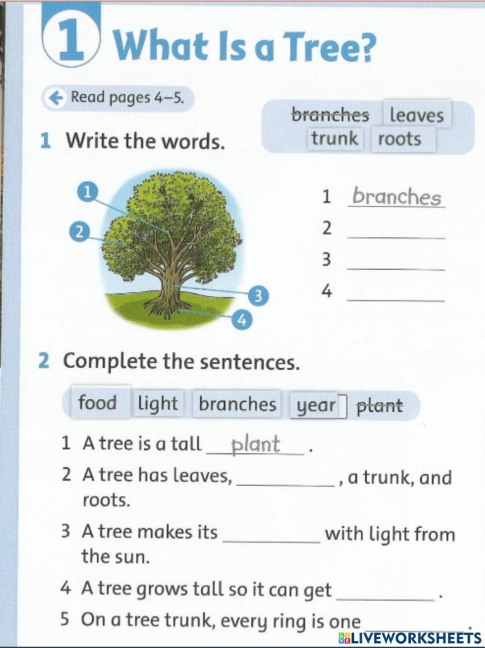 Colorful worksheet for testing tree knowledge with cut-and-paste activities for young learners
