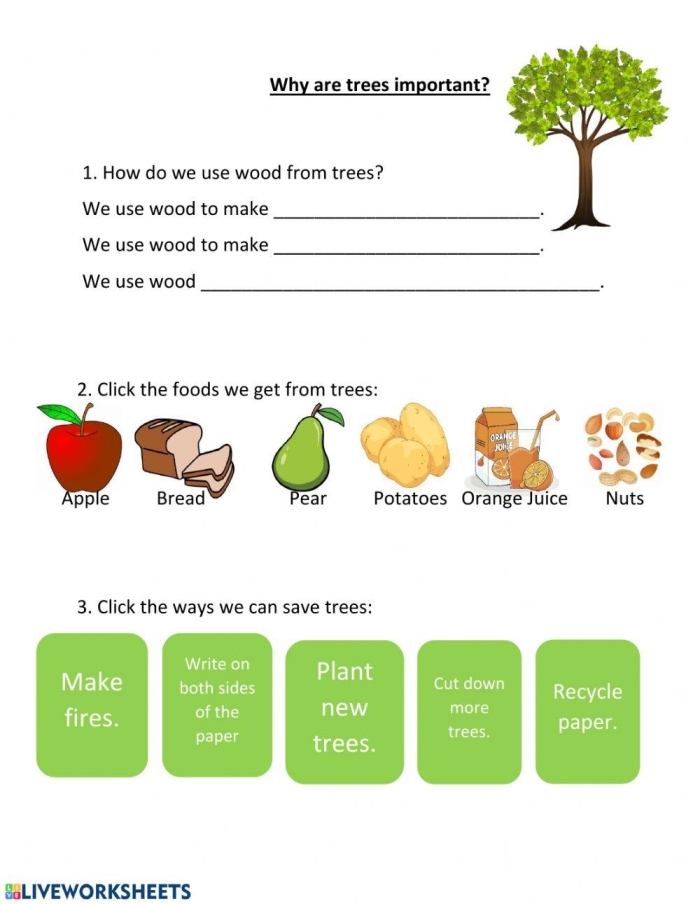 Colorful worksheet for testing tree knowledge with cut-and-paste activities for young learners
