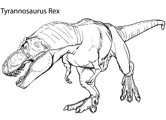 A playful Tyrannosaurus Rex ready for coloring on a fun worksheet