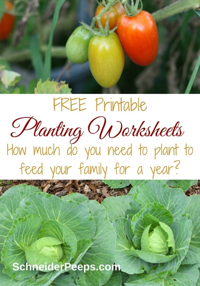 Colorful worksheet for planting a vegetable garden, featuring various cut-out veggies for kids. Engaging activity for Pre-K students to explore life science through figurative language.