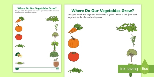 Colorful worksheet for planting a vegetable garden, designed for Pre-K learners to engage in life science. Fun activity title featuring figurative language for young farmers.