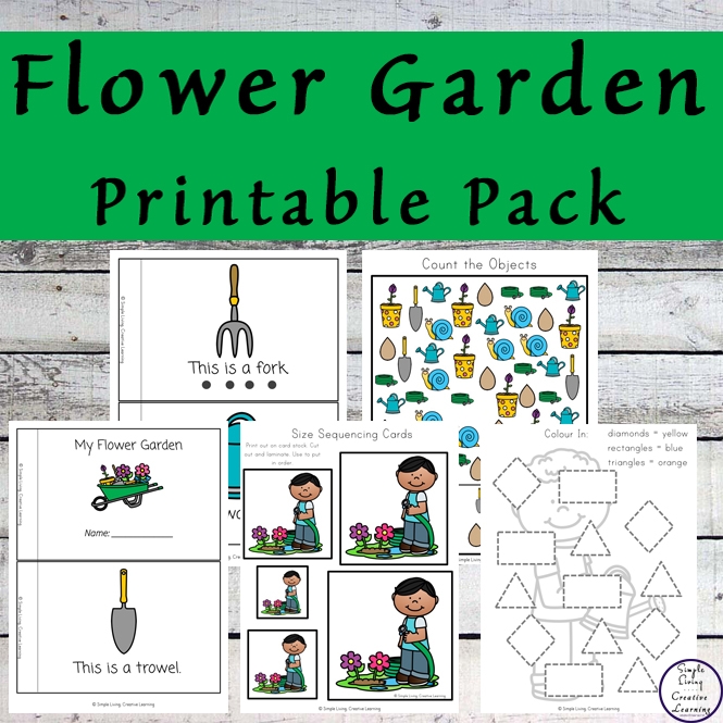 Colorful worksheet for planting a vegetable garden designed for Pre-K learners. Engaging activity for young children to explore life science through gardening.