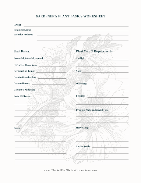 Colorful worksheet for planting a vegetable garden, perfect for little farmers to cut out and sort veggies. Engaging Plant a Vegetable Garden activity for Pre-K students exploring life science.