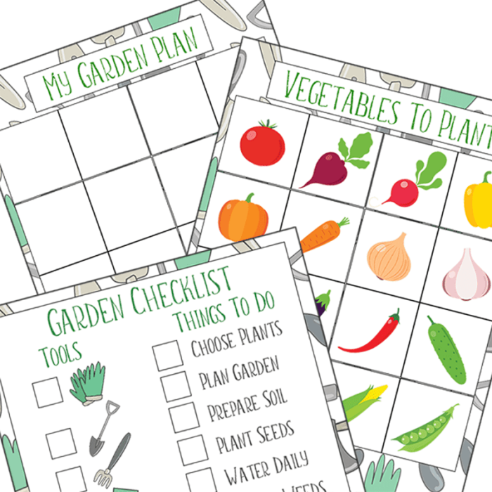 Colorful worksheet for planting a vegetable garden designed for pre-K students. Fun life science activity for little farmers to color and sort vegetables.