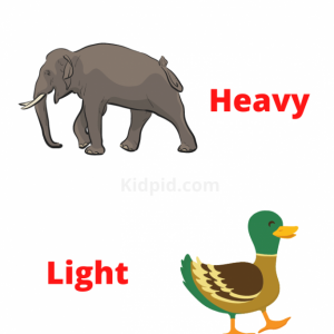 Pre-K printable worksheet for comparing heavy and light objects in a measurement lesson