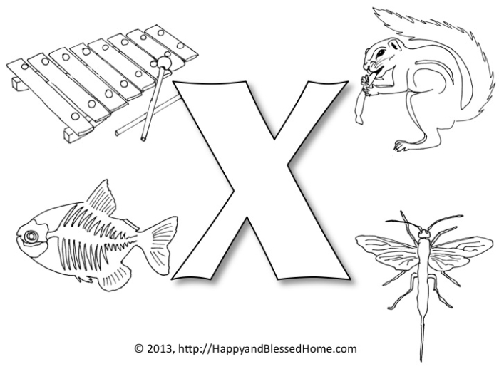 Worksheet featuring items that begin with the letter X for Pre-K learners