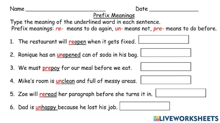 Common Prefixes Reference Guide for Elementary Grammar Instruction Image 22 Fourth grade students learning common prefixes and their meanings with a reference guide worksheet activity