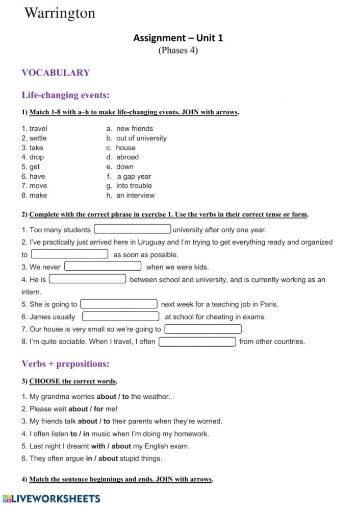 Understanding Plus One Assessment Worksheet for Pre-K Math Practice 18 Preschool student completing an Understanding Plus One Assessment worksheet to practice basic addition