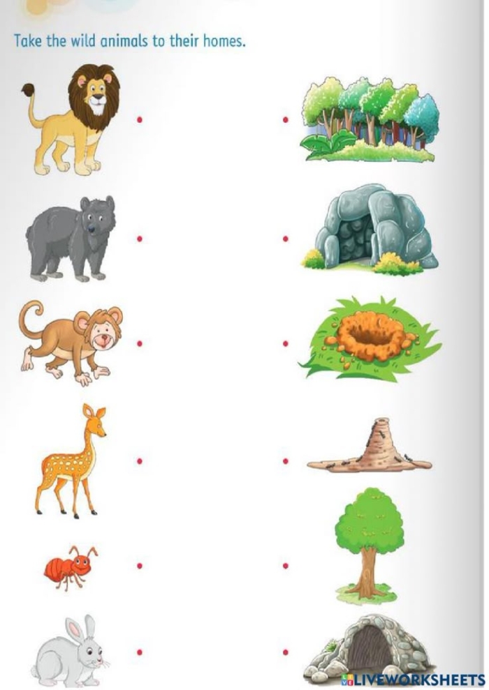 Animals and their Homes activity sheet for Pre-K counting skills Colorful worksheet illustrating various animals and their habitats for early learners