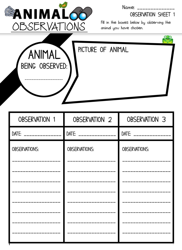 Fun worksheet for kids to enhance observation skills through counting and coloring
