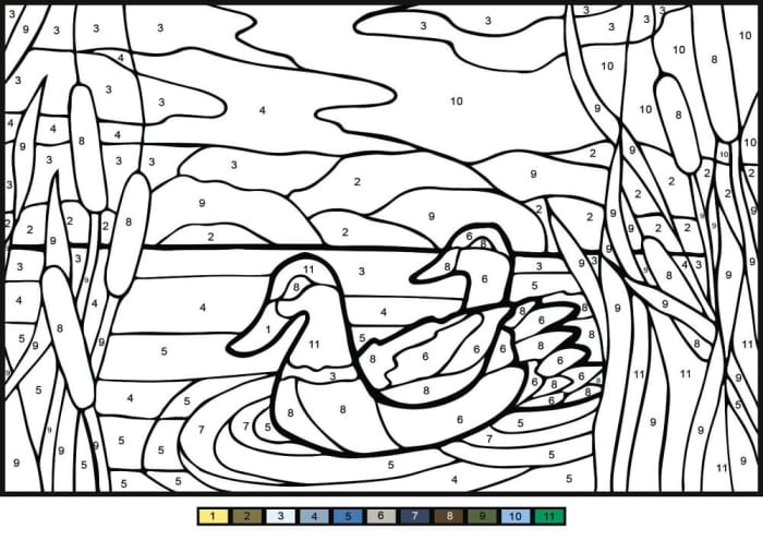 Pre-K color by number worksheet featuring two ducks swimming in a pond for counting practice