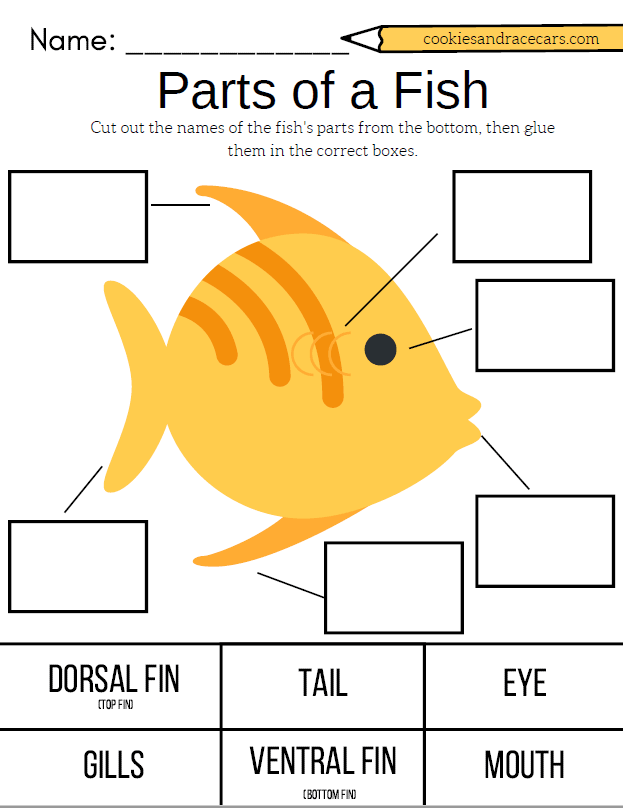 Preschool math worksheet featuring adorable fish characters for counting and addition practice