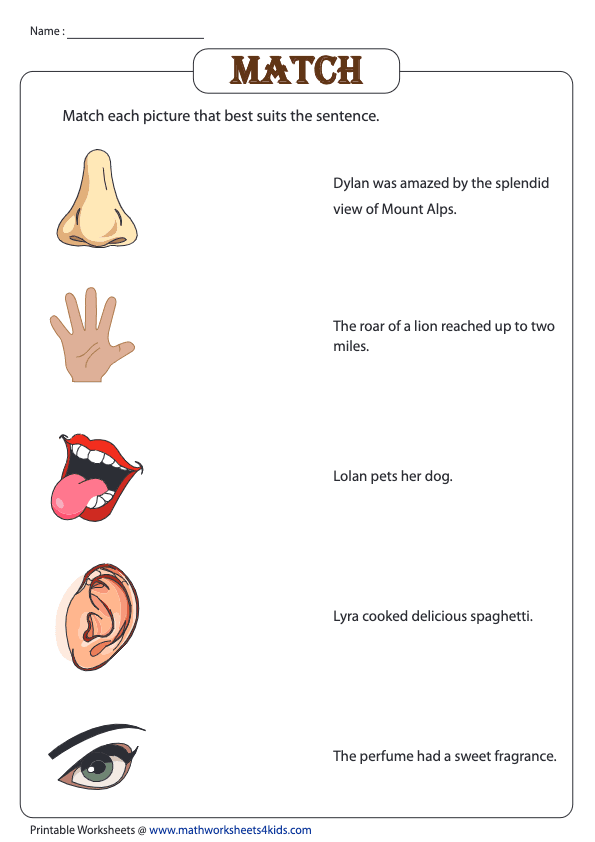 Worksheet featuring a match-up activity for the five senses in Pre-K life science