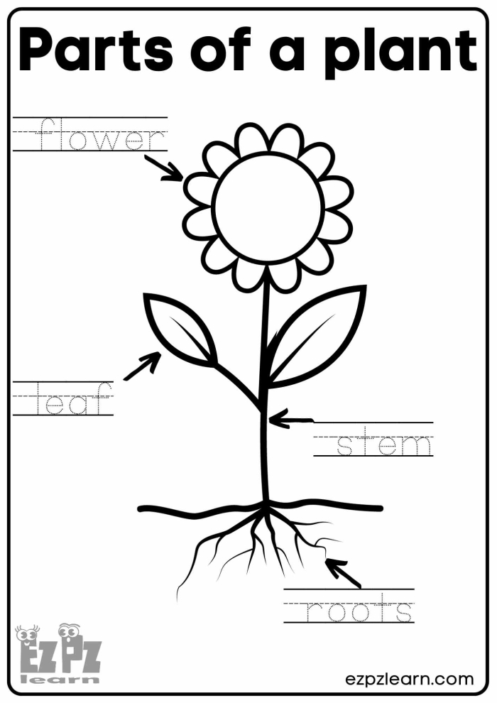 Pre-K student worksheet featuring fruit cutouts for a gardening geometry activity