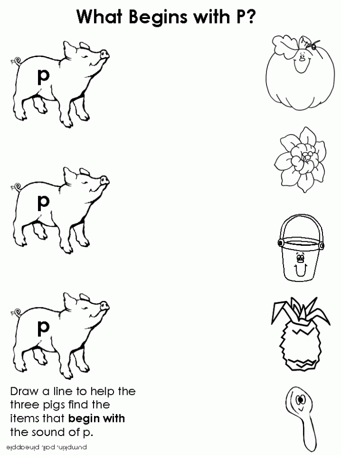 Worksheet featuring objects that start with the letter P for Pre-K children