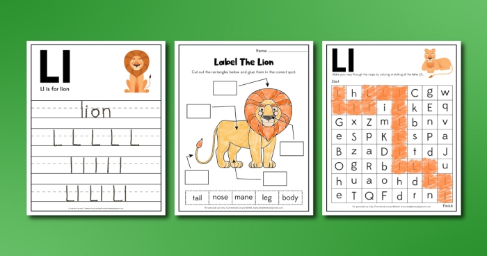 Pre-K Color by Number Lion Activity for Learning Numbers and Colors A cute lion face divided into sections labeled with numbers for children to color by number