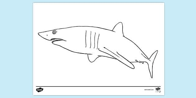 Engaging Mako Shark coloring sheet for preschool education Coloring worksheet featuring a mako shark for young learners