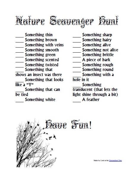Outdoor Scavenger Hunt worksheet number 22 for early math and observation skills Pre-K printable Outdoor Scavenger Hunt worksheet featuring colorful nature items to count