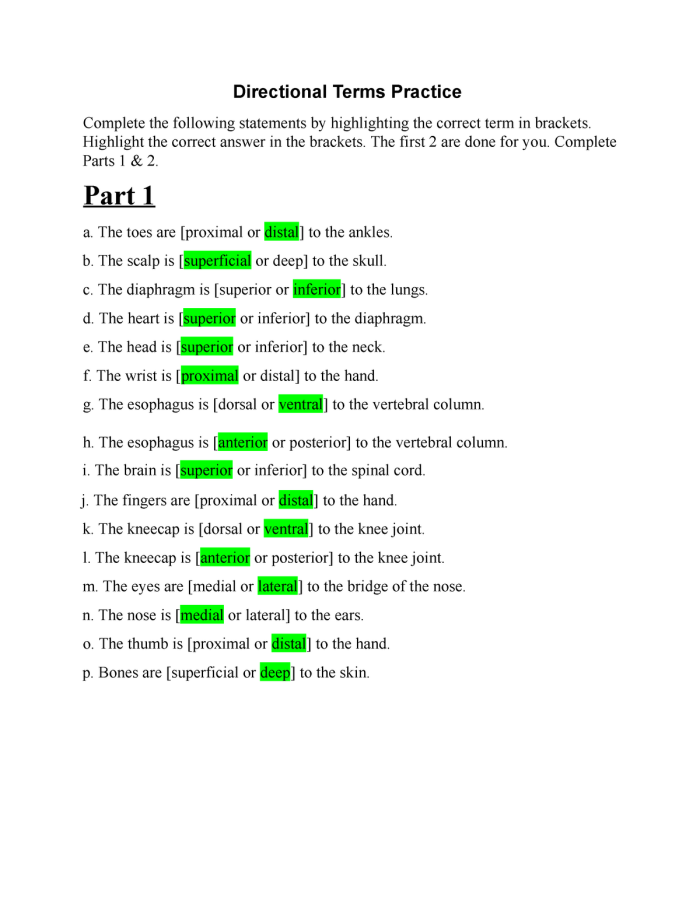 Directional Clues Vocabulary Worksheet 15 for Early Learners Pre-K directional clues worksheet featuring positional word exercises for left right up and down