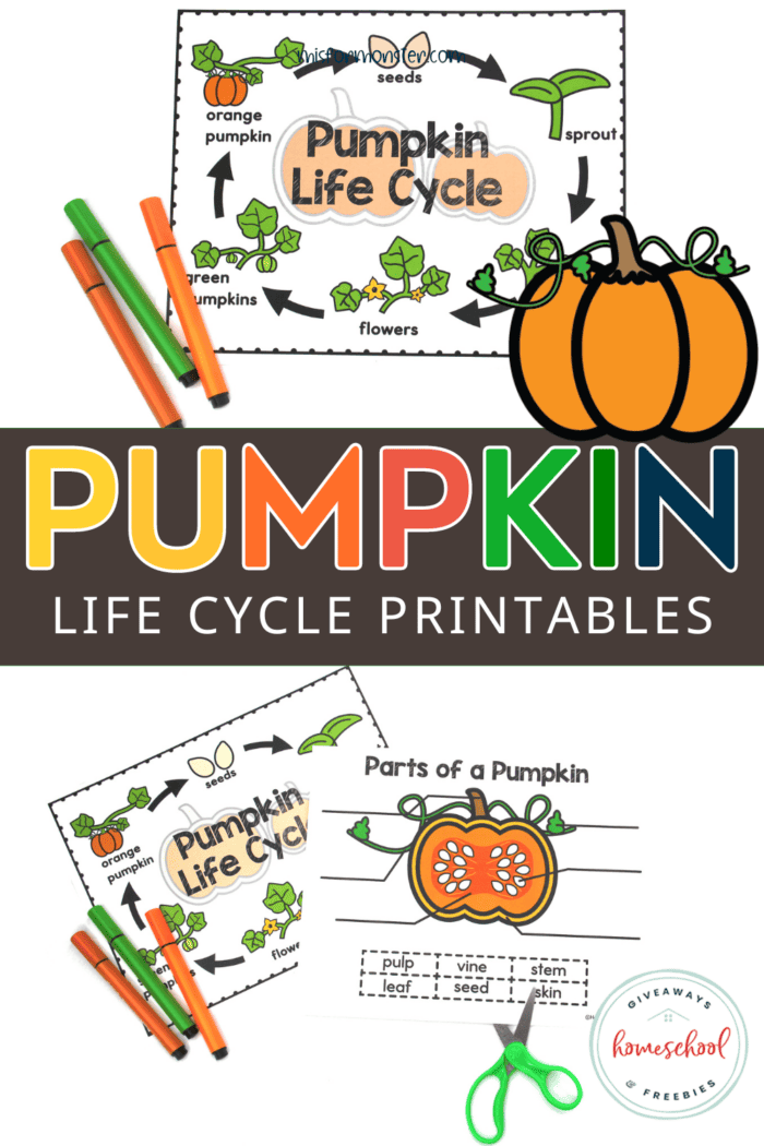 Pre-K pumpkin life cycle cut and paste worksheet with growth chart images 13