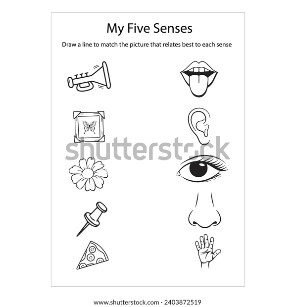Worksheet featuring a match-up activity for the five senses aimed at Pre-K students