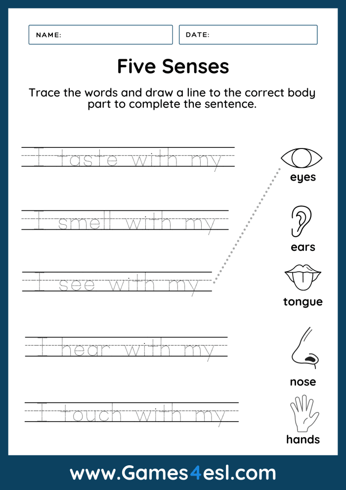 Pre-K worksheet with illustrations for matching objects to the correct sense organ for activity 13