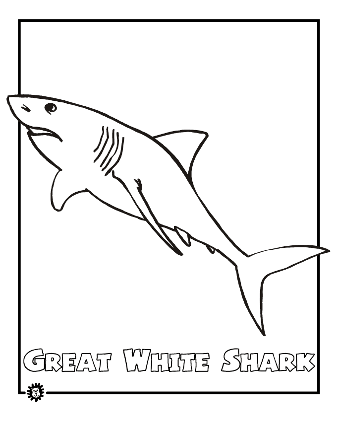 Coloring page of a smiling great white shark for preschoolers to paint